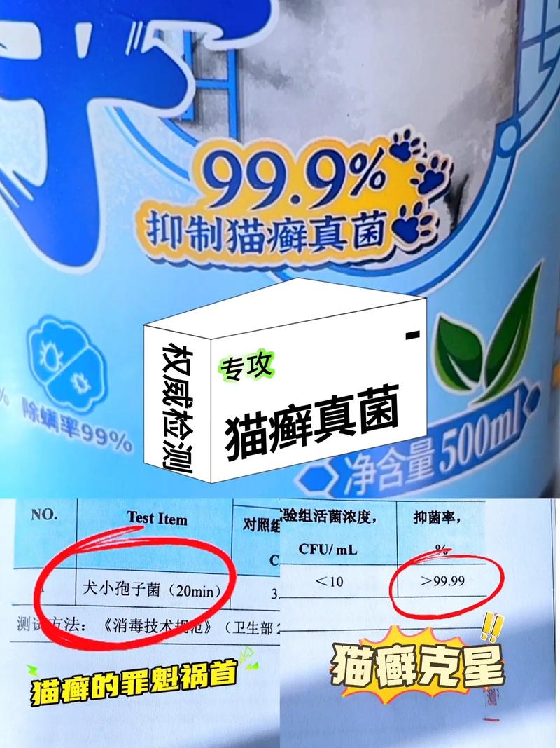 貓咪也會(huì)得甲亢？揭秘貓甲狀腺功能亢進(jìn)的秘密