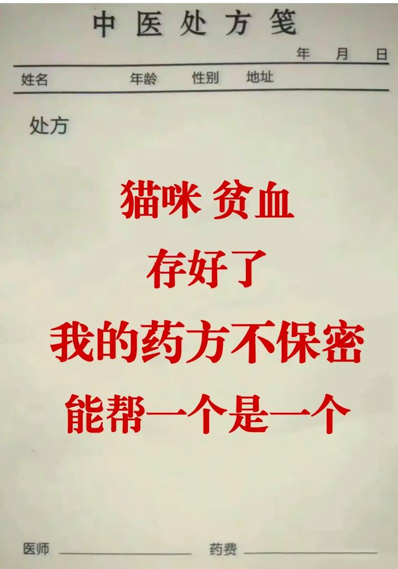 貓瘟來襲，貓咪的健康警報——警惕貓咪因貧血引發(fā)的健康危機