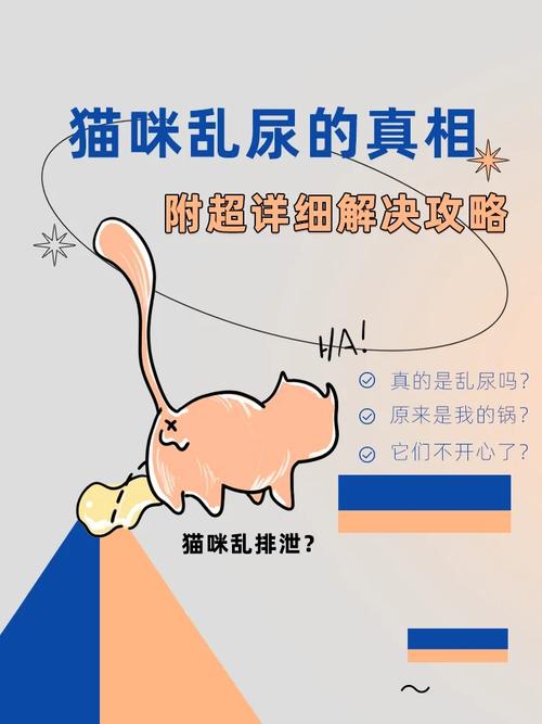 貓咪的特殊表達(dá)，為什么它會(huì)在我身上撒尿？