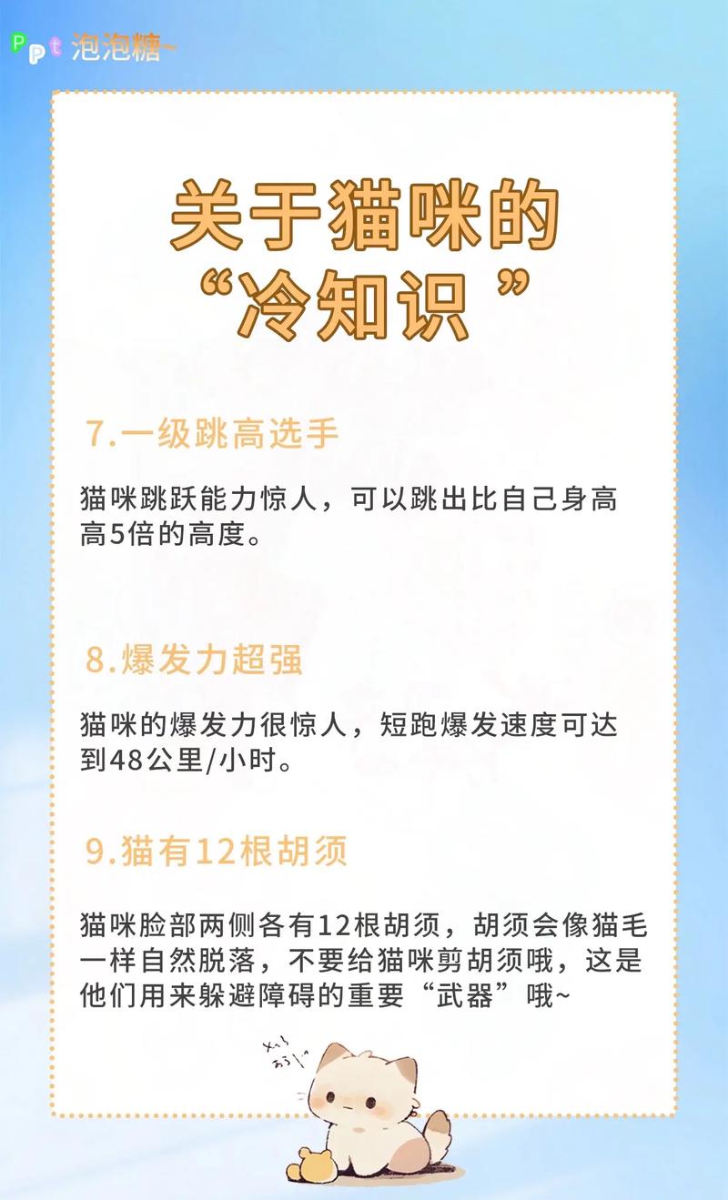 揭秘貓咪的美食秘籍——為你家的毛孩子挑選最佳食物