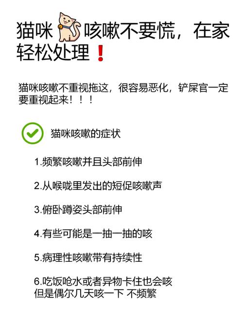 貓咪咳嗽的那些事兒，了解常見原因與護(hù)理方法