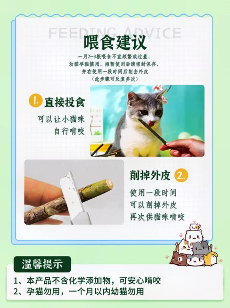 貓咪愛上磨牙棒