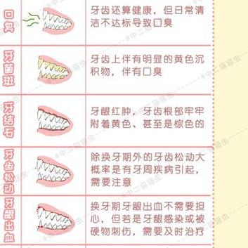 貓咪換牙期間的口臭現(xiàn)象及護(hù)理指南