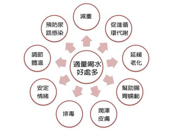 貓咪飲水習(xí)慣改變？小心喝水嘔吐背后的健康危機(jī)