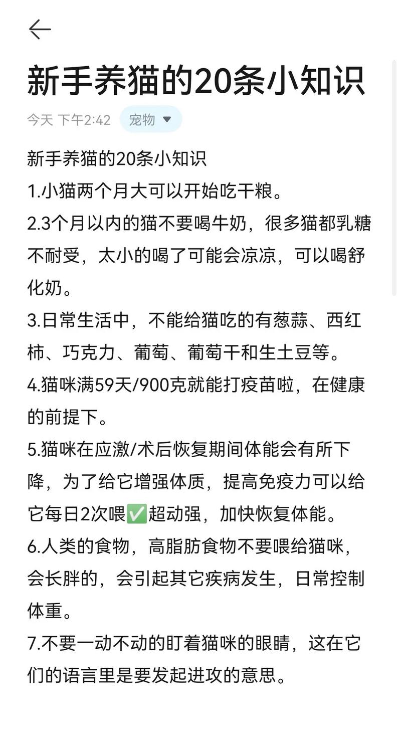 貓咪能喝稀飯嗎？你需要知道的養(yǎng)貓小知識