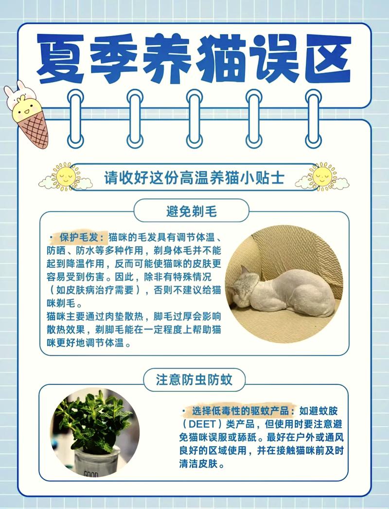 夏日炎炎，為何貓咪會瘦？夏季護(hù)理小貼士