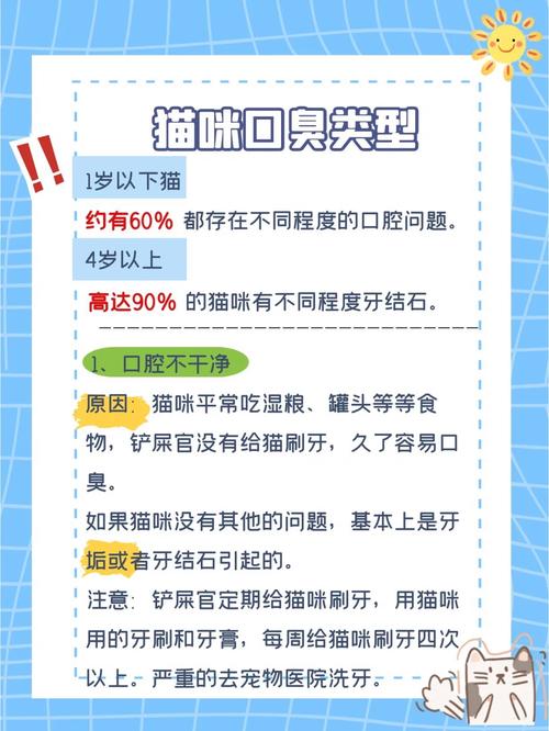 貓咪牙齒健康，如何應(yīng)對常見的口腔問題