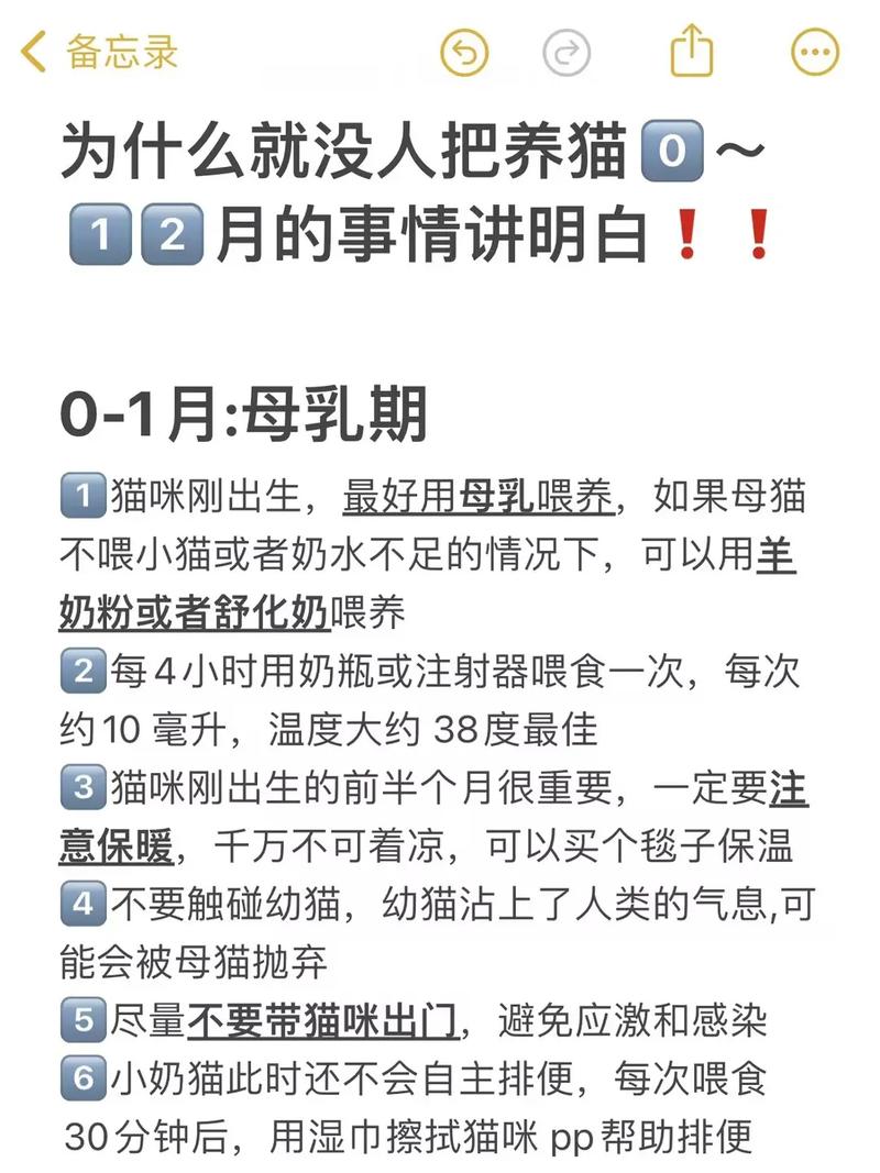 從貓寶寶出生到成長——新生貓咪的照顧與呵護(hù)