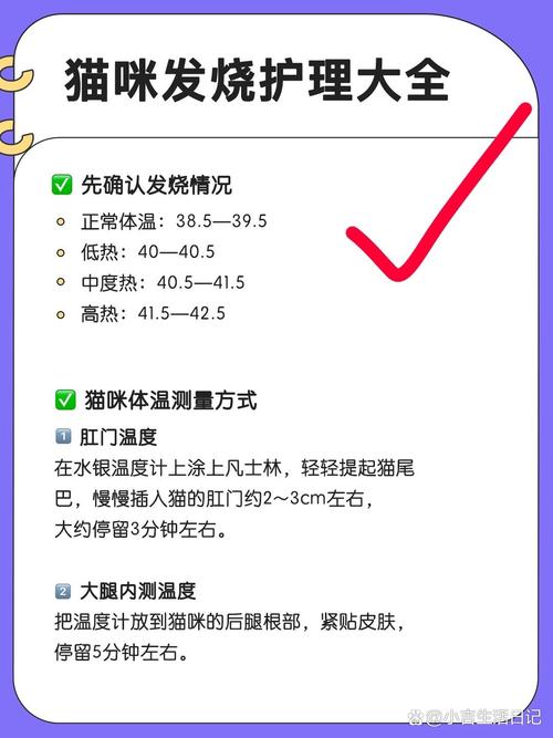 貓咪體溫正常與否，掌握正確測量方法