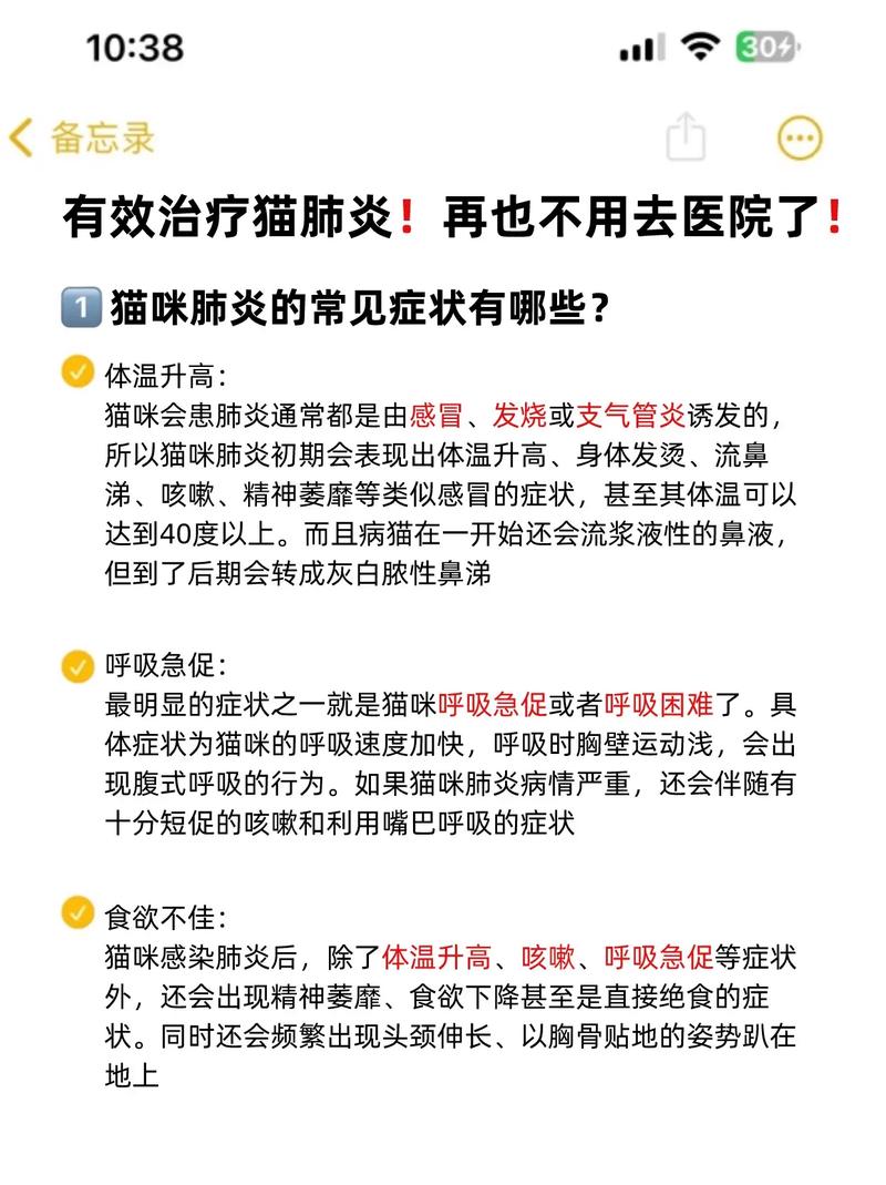 貓咪呼吸急促，常見原因與你需知的急救措施