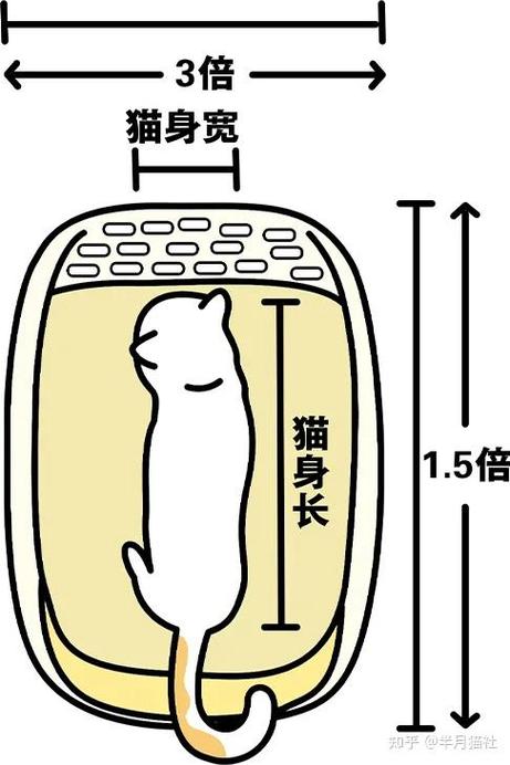 貓咪總是亂拉尿？教你如何解決貓廁所問題