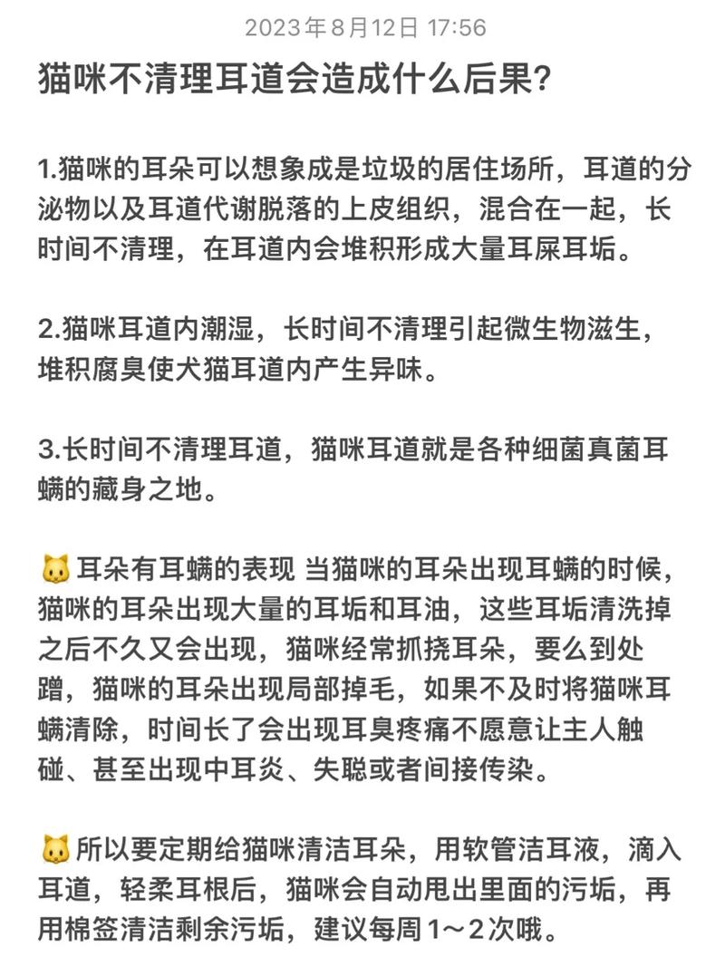 如何清潔貓咪耳朵，給您的愛寵提供健康呵護