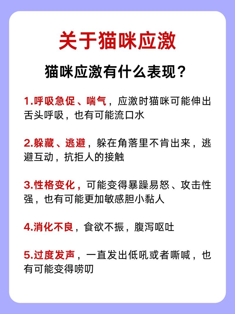 貓咪呼吸急促，警惕可能的健康問(wèn)題