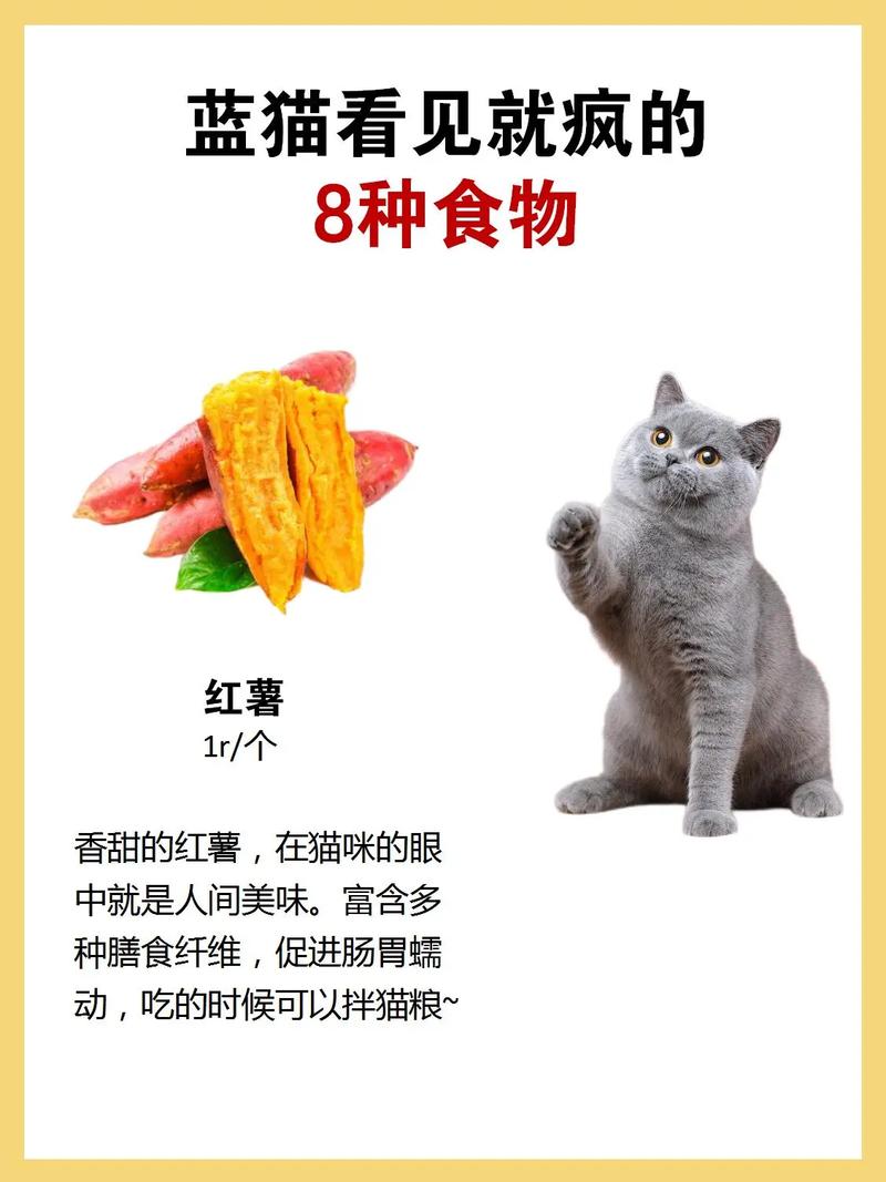 貓咪能安全享用人類食物嗎？