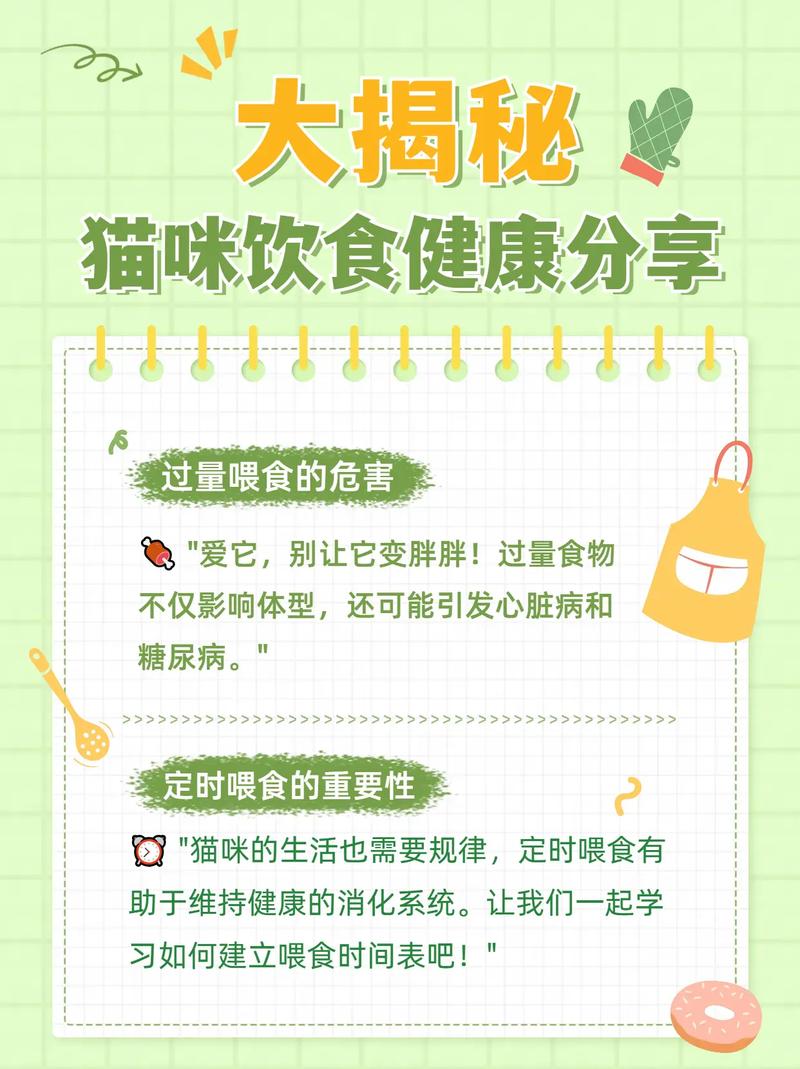 如何為你的愛貓選擇一條健康的道路——揭秘貓咪的健康識別技巧