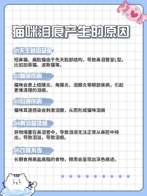 告別貓咪淚痕，全面指南助你輕松應對