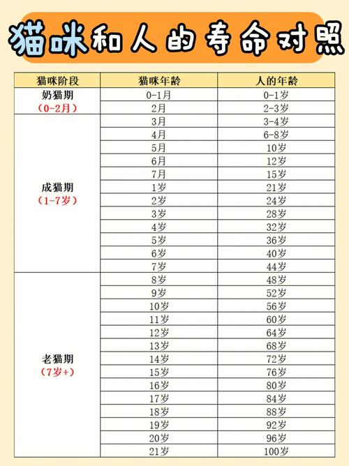 貓咪的眼睛會說話——解讀它們微妙的心緒變化