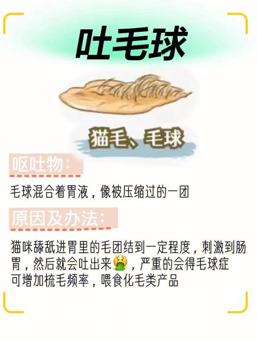 貓咪嘔吐的背后——揭秘寵物體內(nèi)寄生蟲問題