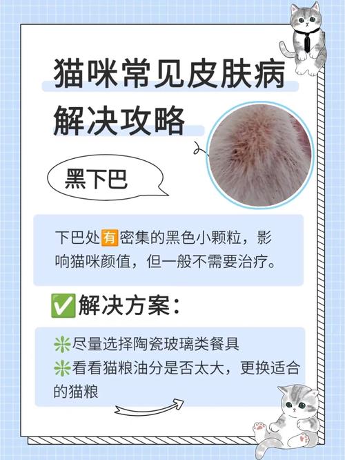 貓咪上顎長(zhǎng)東西？了解常見問(wèn)題與解決辦法