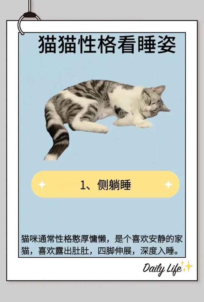 貓咪生病時(shí)的特殊睡眠姿態(tài)，理解與關(guān)懷