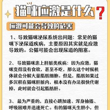 貓咪應(yīng)激反應(yīng)致死，如何避免讓愛寵陷入危險(xiǎn)