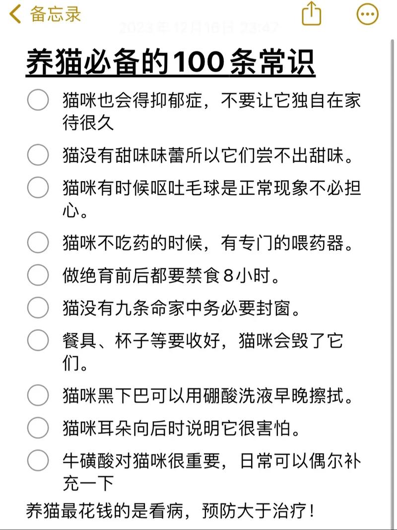 貓奴與貓敵，探索那些討厭玩貓咪的人背后的故事