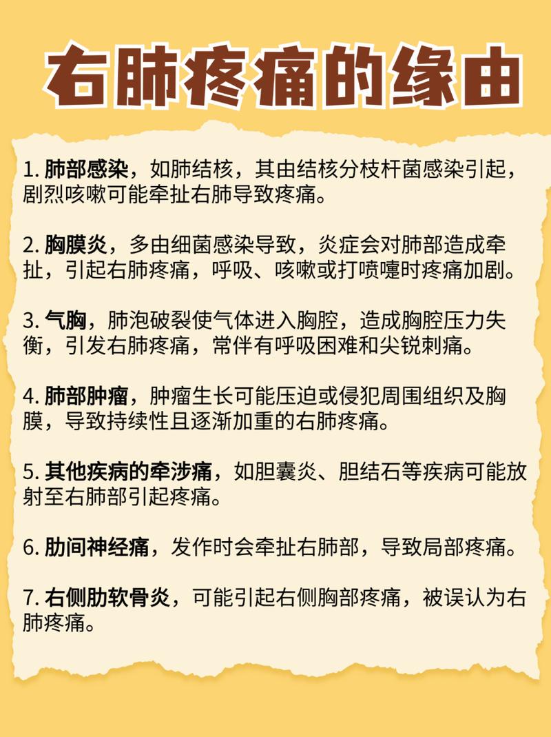 貓咪牙齒缺口背后，隱藏的健康警報(bào)