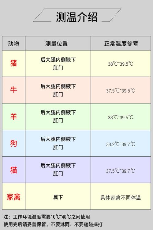 貓咪體溫計(jì)，科學(xué)守護(hù)你的小毛球