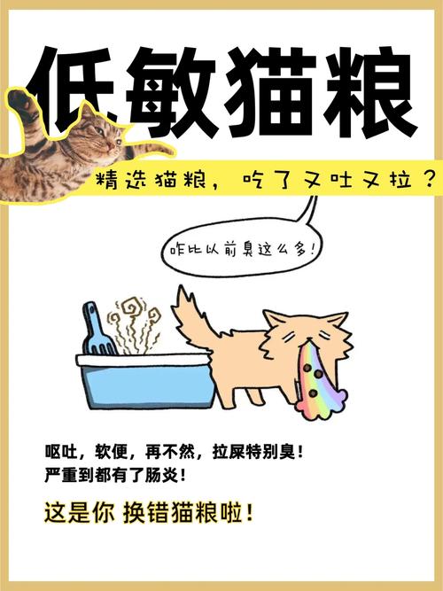 貓咪為何會(huì)嘔吐和腹瀉？