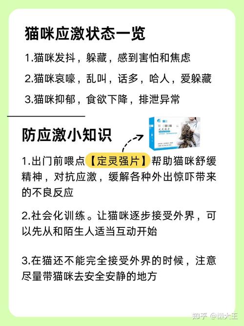 貓咪也抑郁？如何識別和幫助貓咪的情緒問題