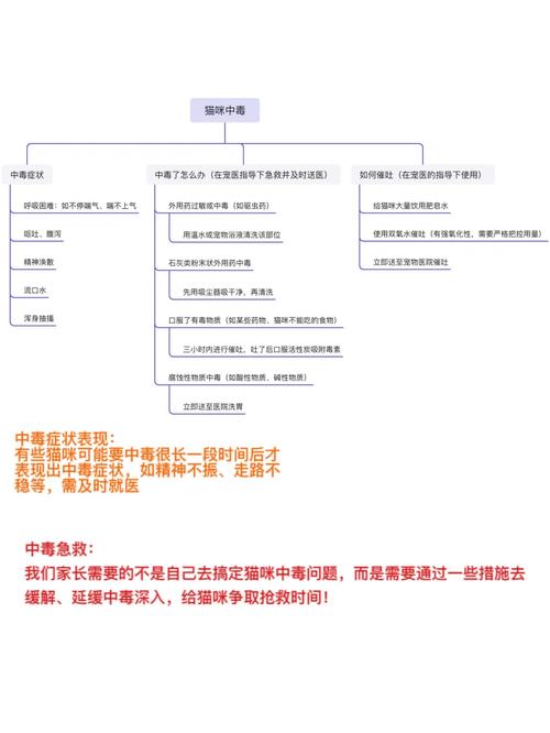 貓咪維生素中毒，了解癥狀與急救措施