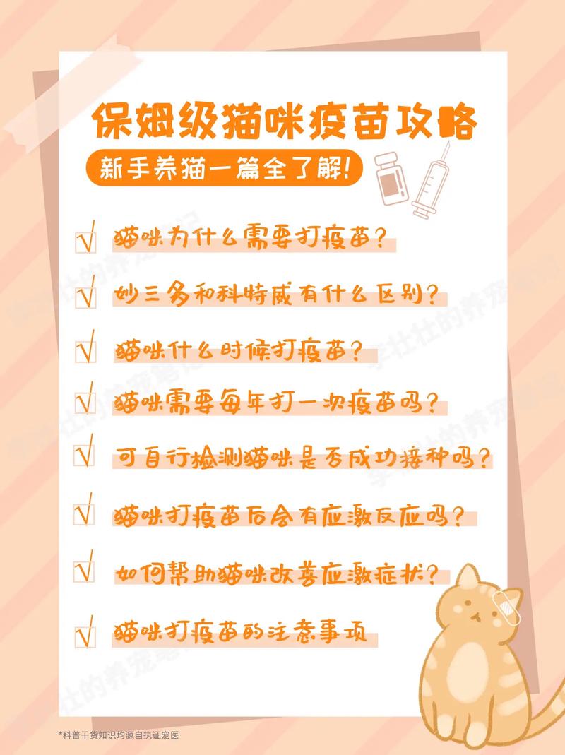 貓咪打完疫苗后的最佳護理指南