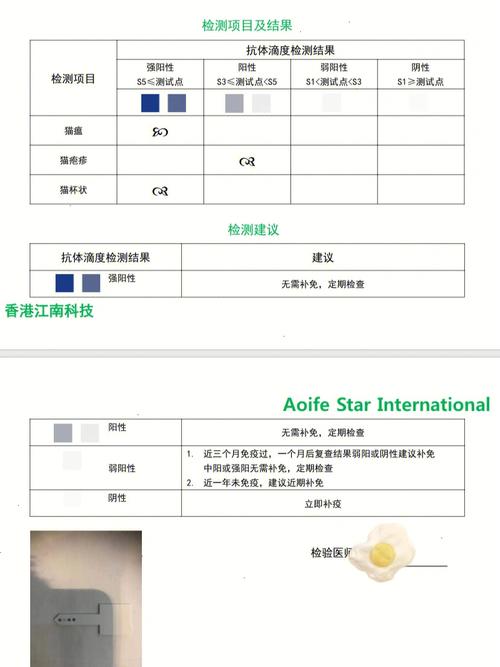 貓咪抗體檢測(cè)，守護(hù)寵物健康的關(guān)鍵步驟