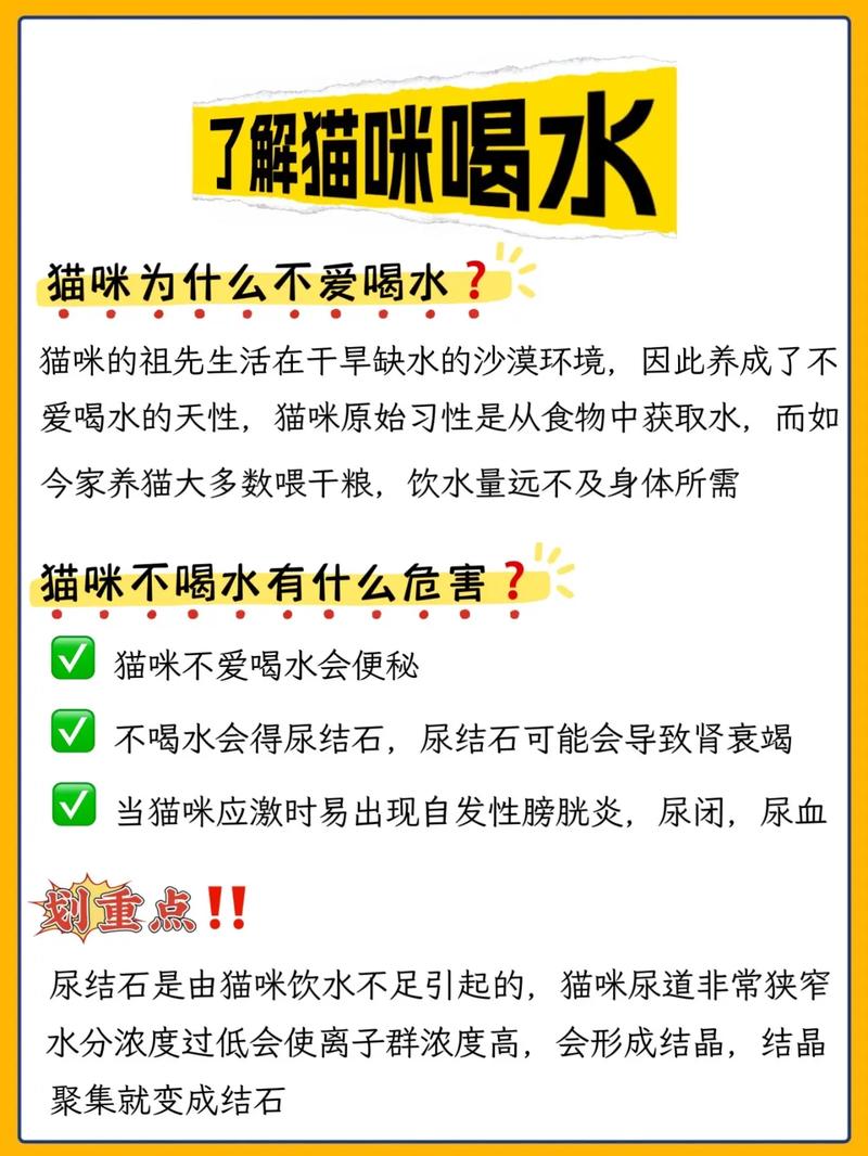 溫柔的呼吸，生命的脆弱——探討懷孕貓咪的喘氣