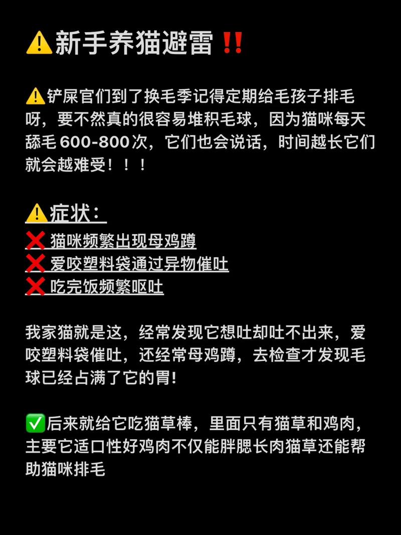 神秘的黑色嘔吐——貓咪健康的警鐘