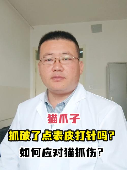 貓咪爪子意外斷了，如何正確處理？