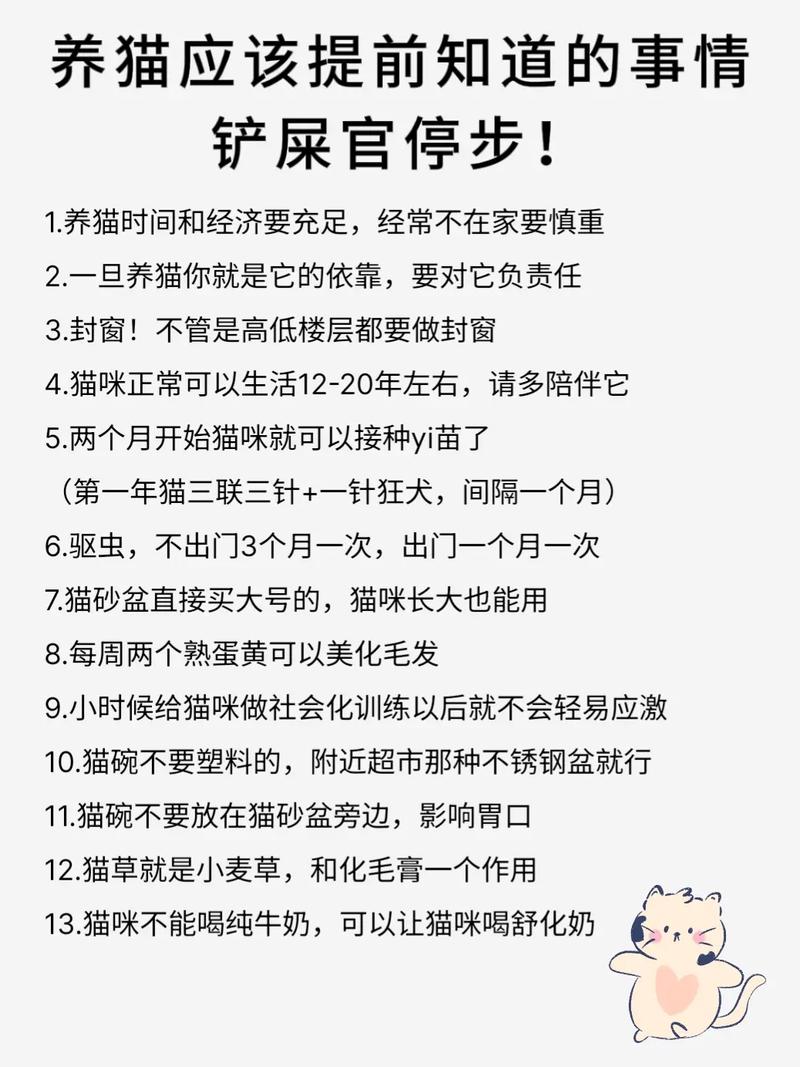 貓咪做月子，新手父母的溫馨指南