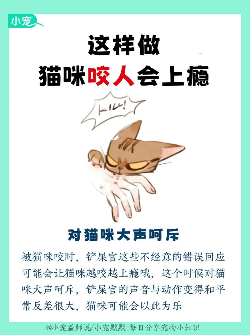 貓咪的咬意何在？