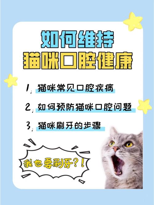 貓咪刷牙，輕松為毛孩打造健康口腔護(hù)理