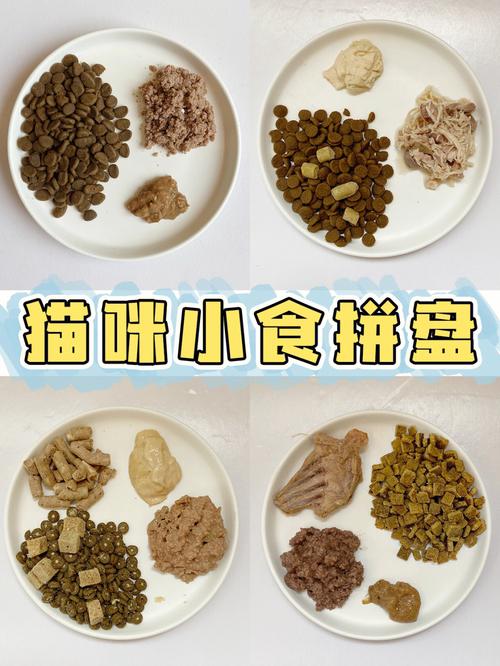 貓咪的健康小食——小米粥