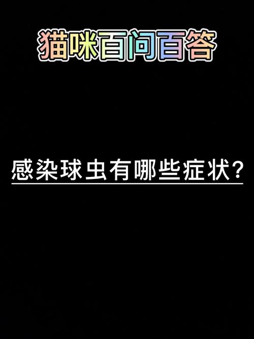 貓咪黑色便便？常見原因解析與應(yīng)對策略