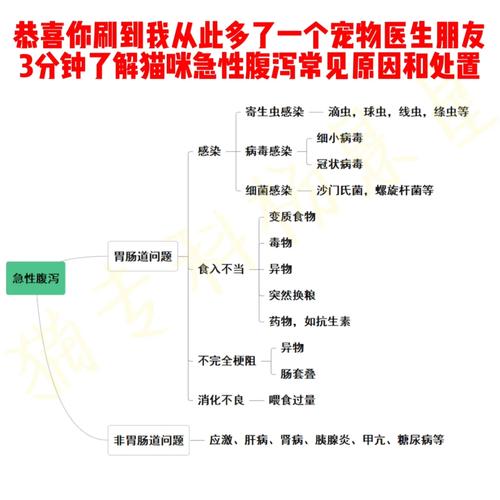 貓咪拉肚子？這4個(gè)原因及應(yīng)對(duì)措施你必須知道