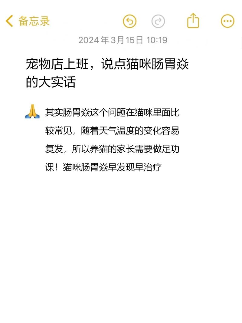 貓咪止吐秘籍，全面解析如何幫愛寵輕松應(yīng)對嘔吐