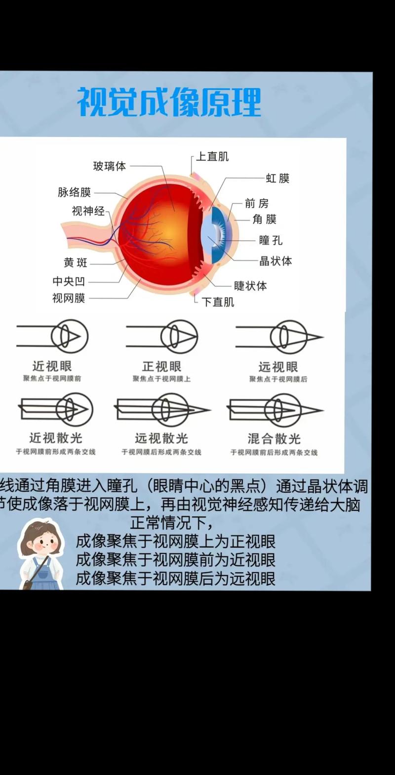 守護(hù)瞳孔之光，揭秘貓咪角膜壞死