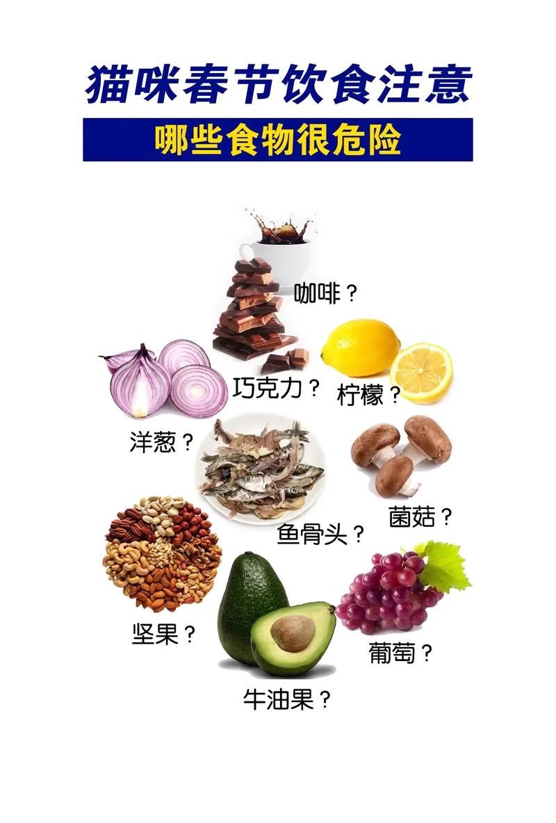 貓咪食鹽過量，危險(xiǎn)背后的真相