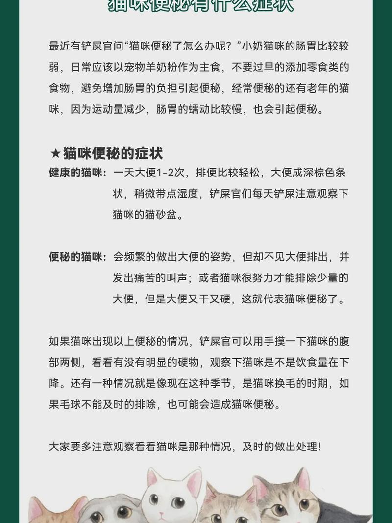 如何讓貓咪輕松應對便秘，詳解開塞露使用方法