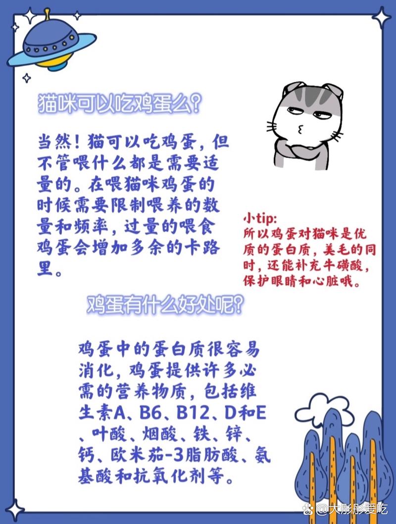 貓咪可以享用雞蛋嗎？