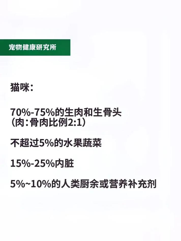 探索貓咪與生骨肉的微妙關(guān)系