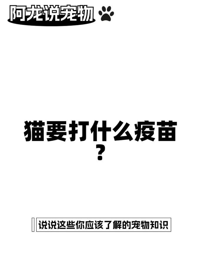 貓咪打疫苗的重要性，保護(hù)它們免受疾病侵害