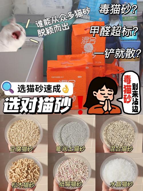 為何貓咪不喜歡貓砂？探索背后的原因